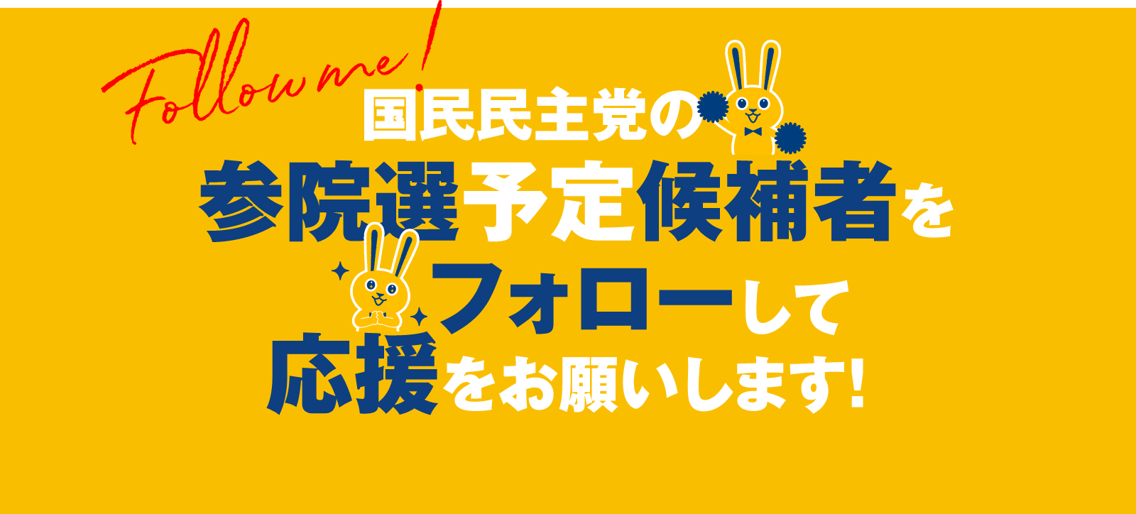 国民民主党の参院選予定候補者をフォローして応援をお願いします!